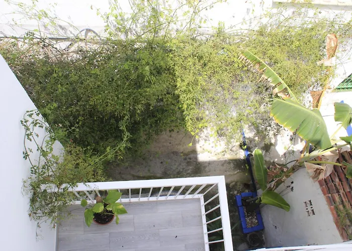 Azotea Vistas A 5m De La Playa. Recien Restaurado * Conil De La Frontera