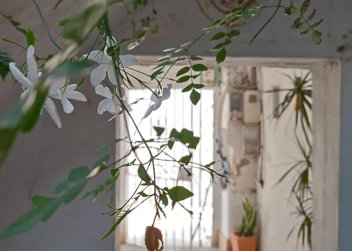 Azotea Vistas A 5m De La Playa. Recien Restaurado Conil De La Frontera