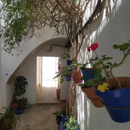 Azotea Vistas A 5m De La Playa. Recién Restaurado