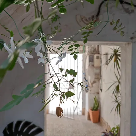 Azotea Vistas A 5m De La Playa. Recién Restaurado Conil De La Frontera